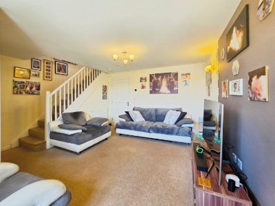 Picture 11
